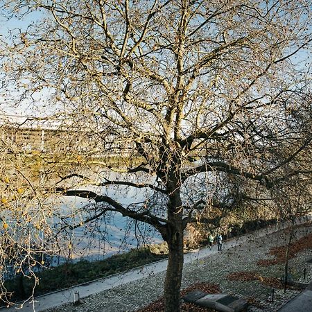 The Rhuys - Cosy-Balcony With Superb Loire View - All On Foot - Parking Apartment Nantes Exterior photo